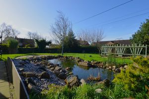 Pond- click for photo gallery